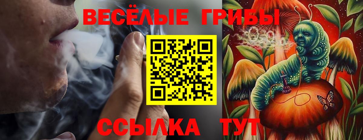 Галлюциногенные грибы Cubensis Ханты-Мансийск